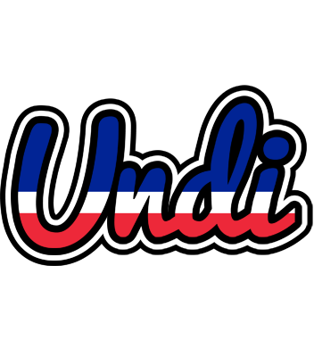 Undi france logo