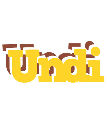 Undi hotcup logo