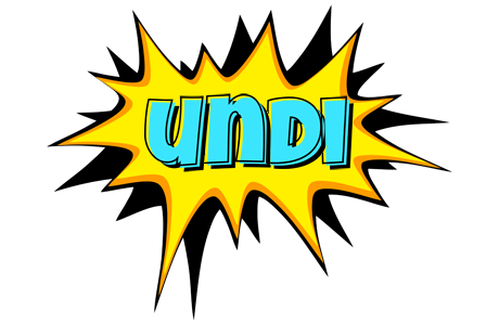 Undi indycar logo