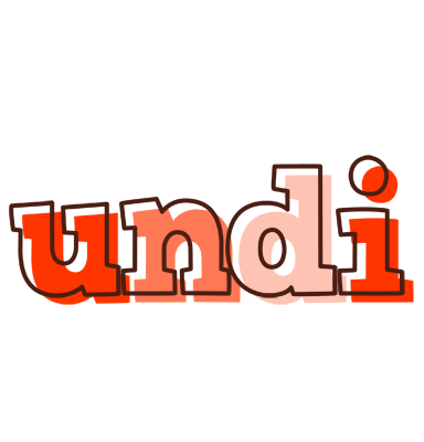Undi paint logo