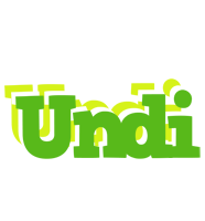 Undi picnic logo