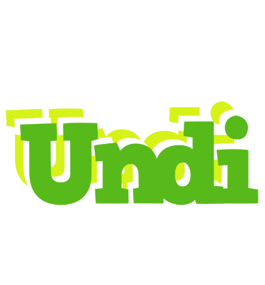 Undi picnic logo