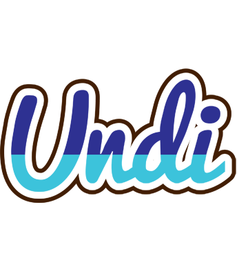 Undi raining logo