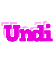 Undi rumba logo