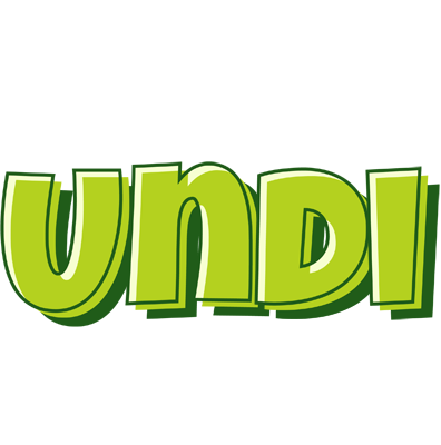 Undi summer logo