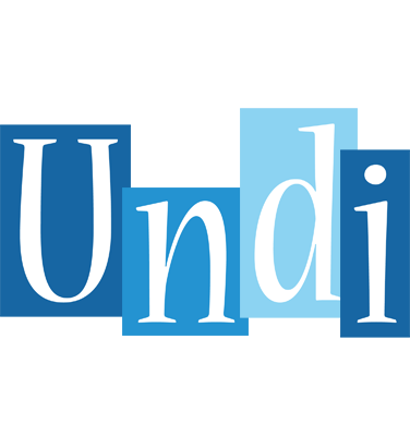 Undi winter logo