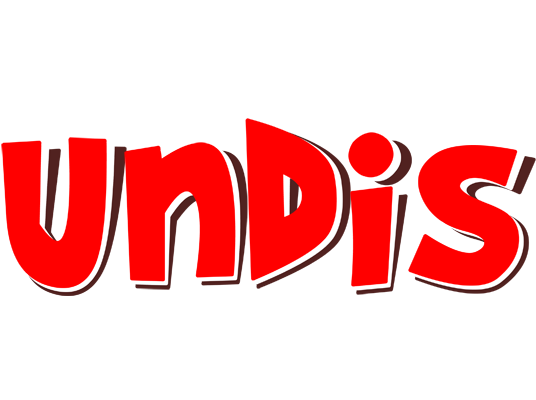Undis basket logo