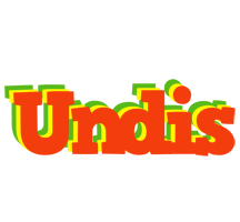 Undis bbq logo
