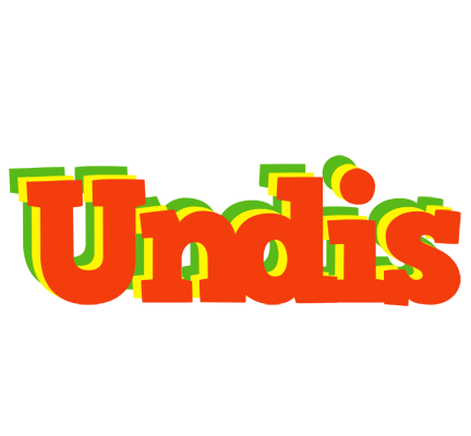 Undis bbq logo