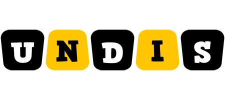 Undis boots logo