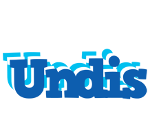 Undis business logo