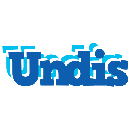 Undis business logo