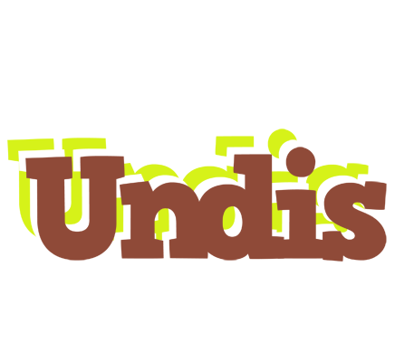Undis caffeebar logo