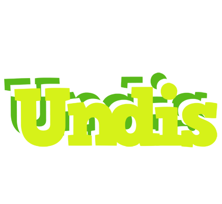 Undis citrus logo
