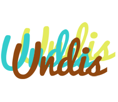 Undis cupcake logo