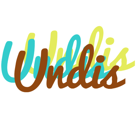 Undis cupcake logo