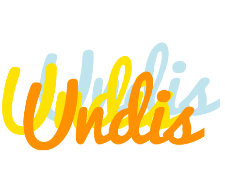 Undis energy logo