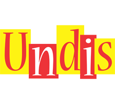 Undis errors logo