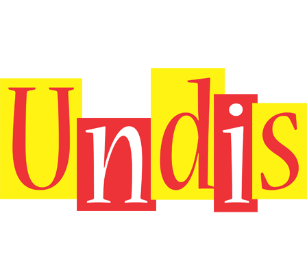 Undis errors logo