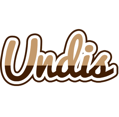 Undis exclusive logo