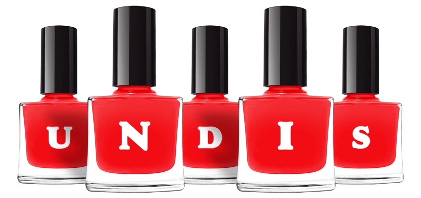 Undis fashion logo