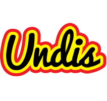 Undis flaming logo