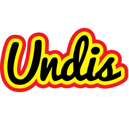 Undis flaming logo