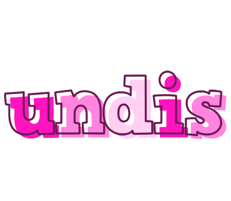 Undis hello logo