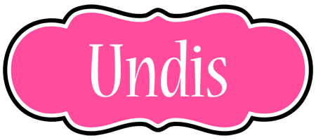 Undis invitation logo