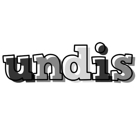 Undis night logo