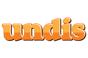 Undis orange logo