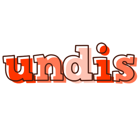 Undis paint logo