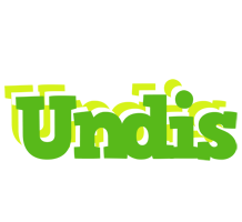Undis picnic logo