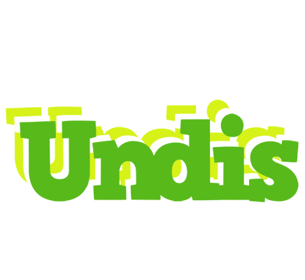 Undis picnic logo