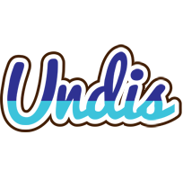 Undis raining logo
