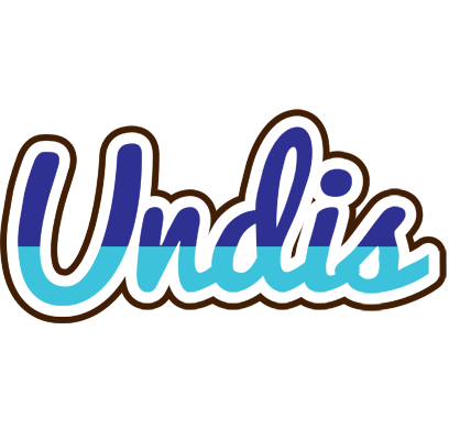 Undis raining logo