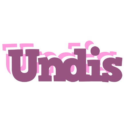Undis relaxing logo