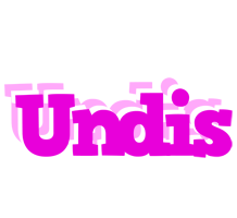 Undis rumba logo
