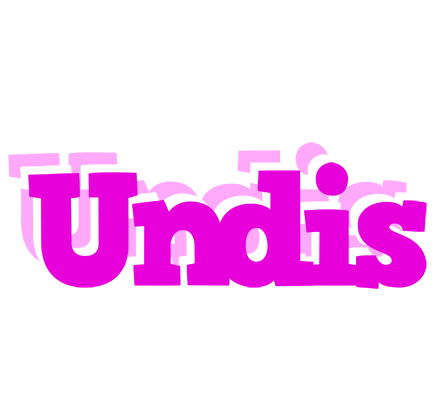 Undis rumba logo
