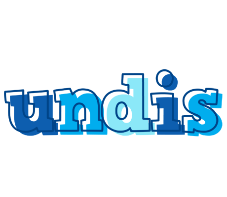 Undis sailor logo