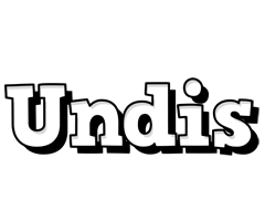 Undis snowing logo
