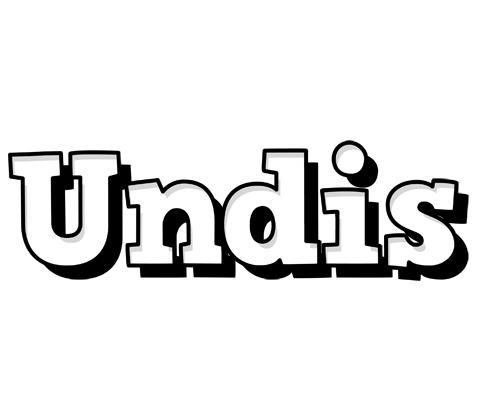 Undis snowing logo