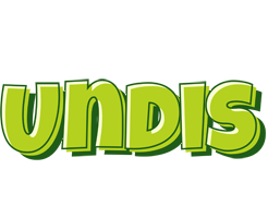 Undis summer logo
