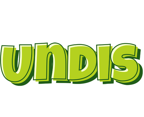 Undis summer logo
