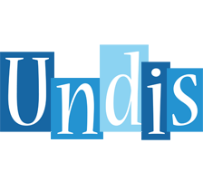 Undis winter logo