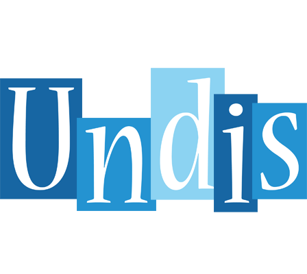 Undis winter logo