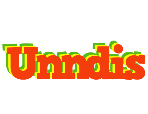 Unndis bbq logo