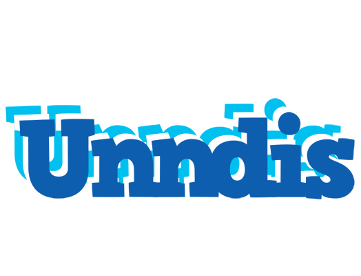 Unndis business logo
