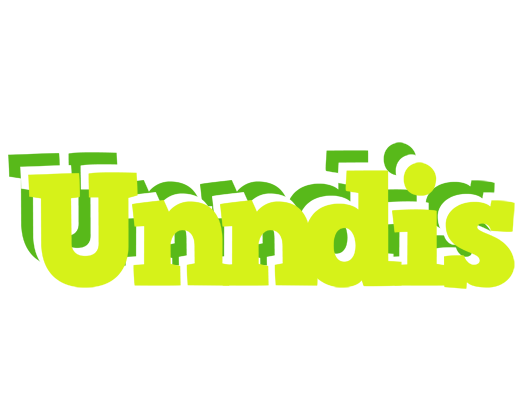 Unndis citrus logo