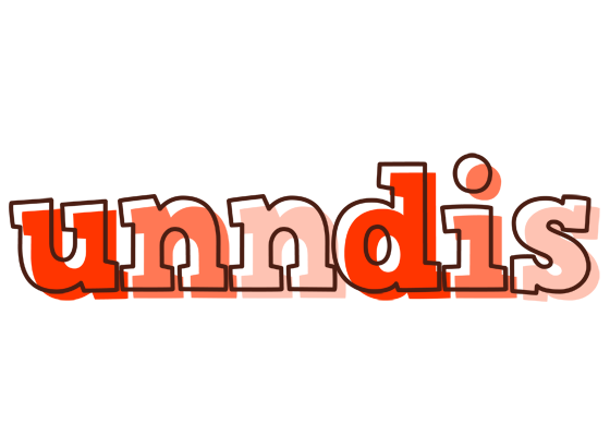Unndis paint logo